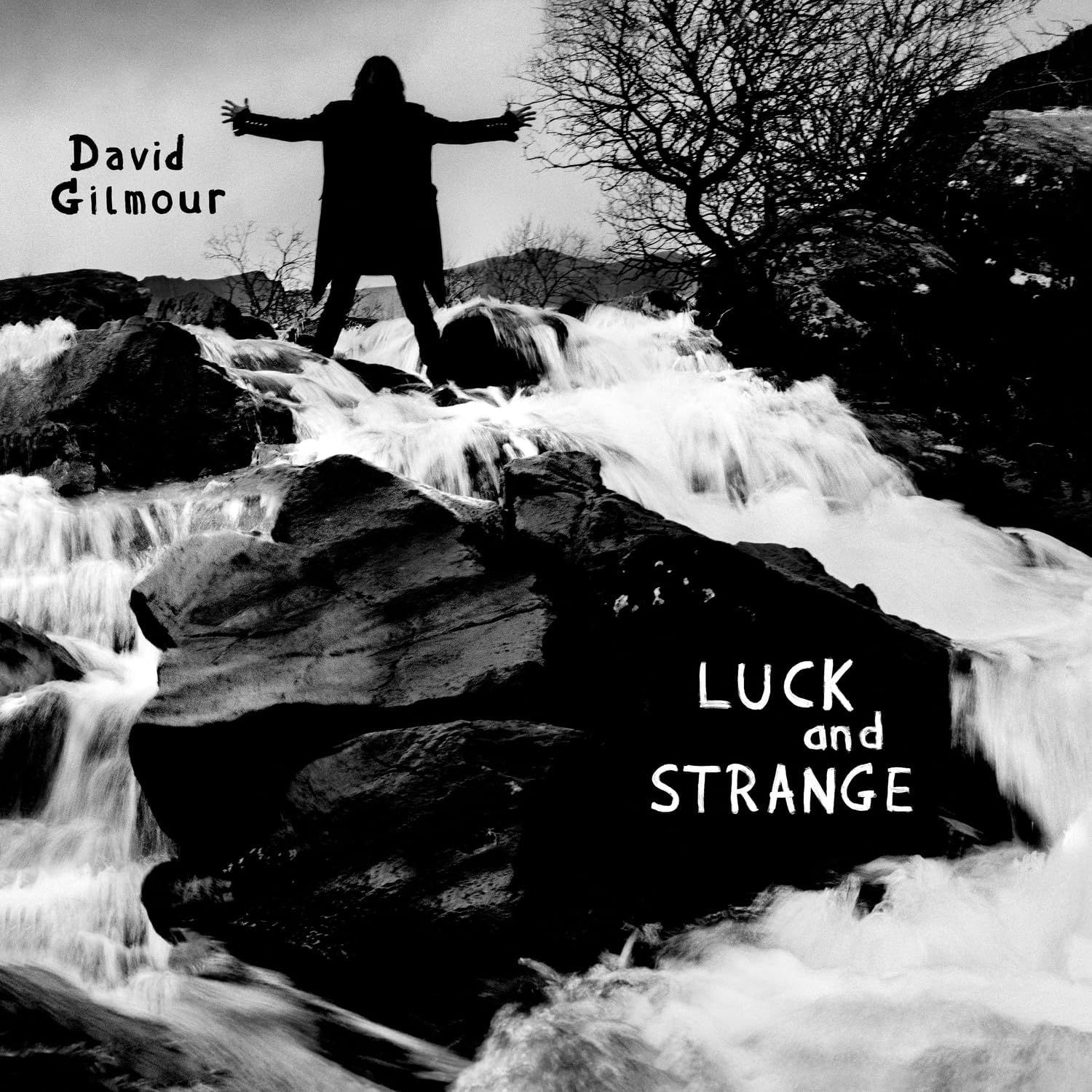 Компакт-диск David Gilmour. Luck And Strange (CD)