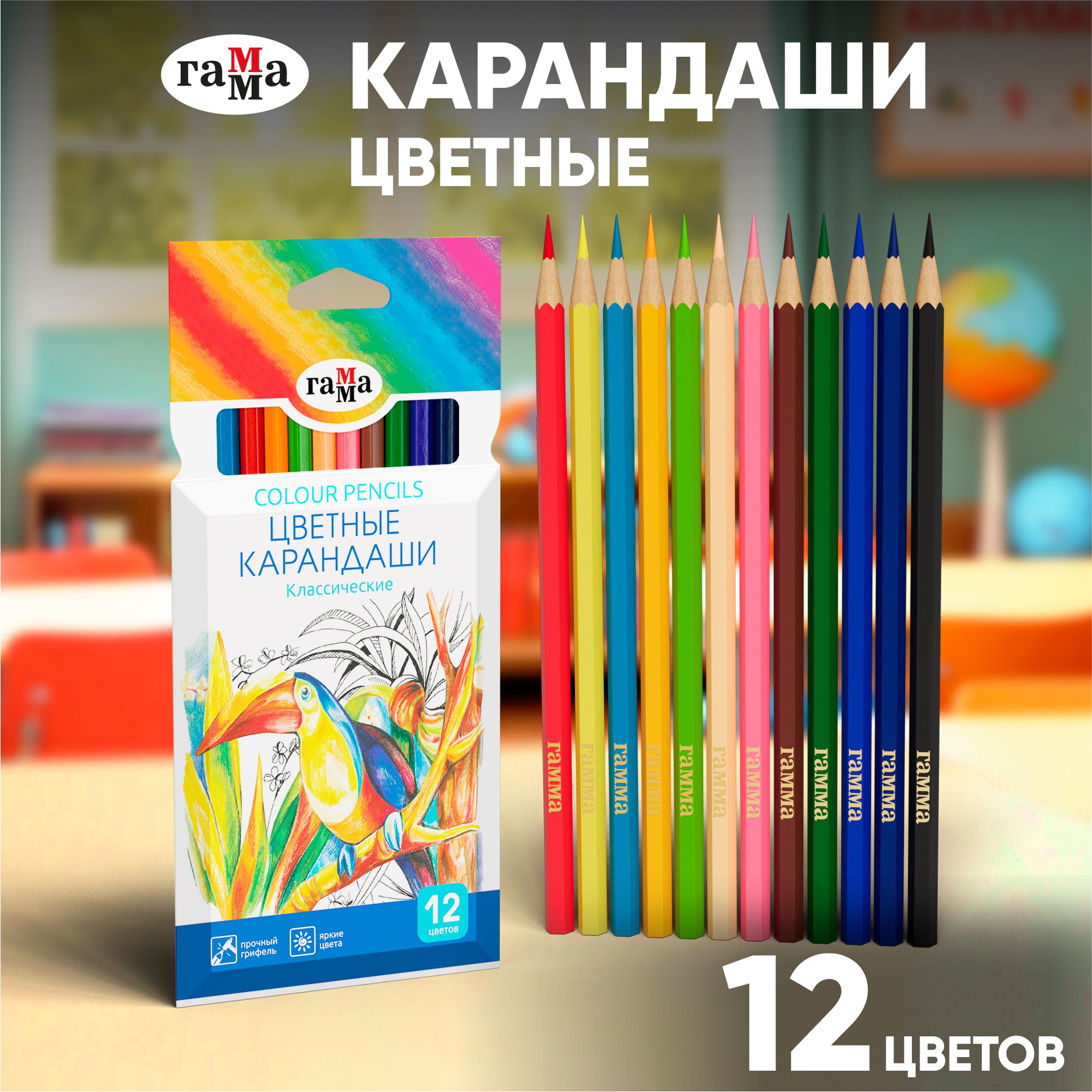 Карандаши цветные ГАММА, 12 цветов художественные, для рисования творчества и скетчинга, мягкие яркие, большой набор для школы, заточенные