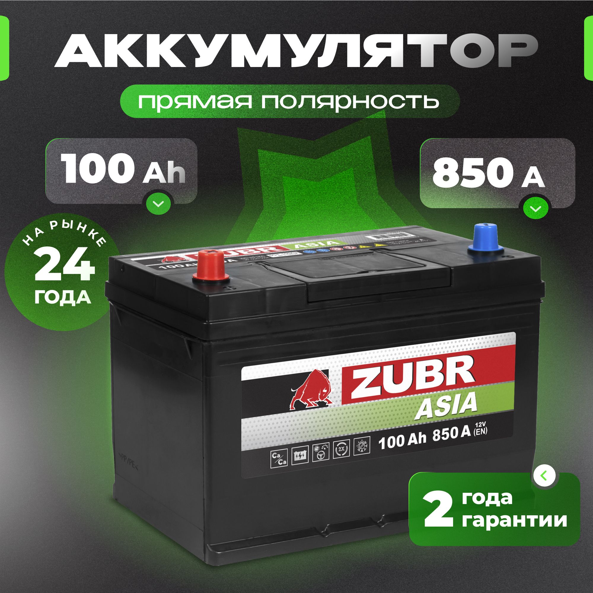 Аккумулятор автомобильный 12v 100 Ah ZUBR Premium Asia 100 Ач 850 А прямая полярность 303x175x225 стартерный акб для автомобиля, машины (нижний борт)