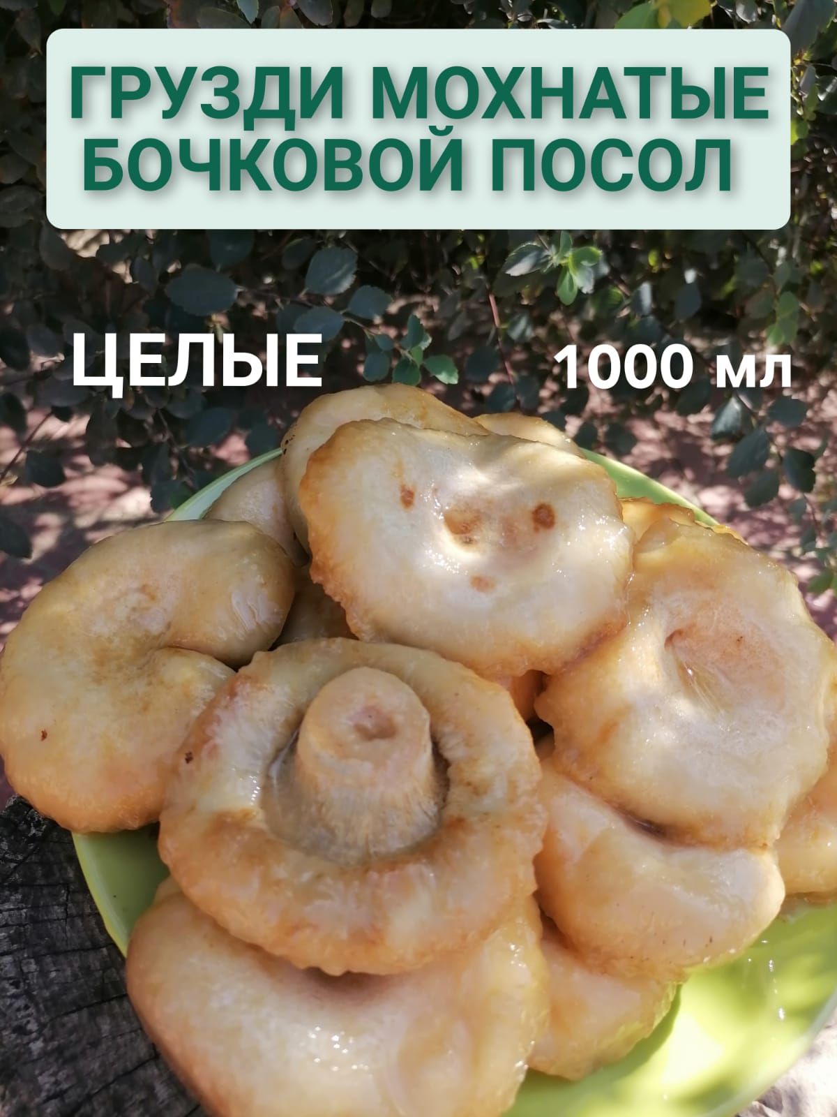 ГРУЗДИСОЛЕНЫЕСИБИРСКИЕ,мохнатые,Бочковойпосол1л.