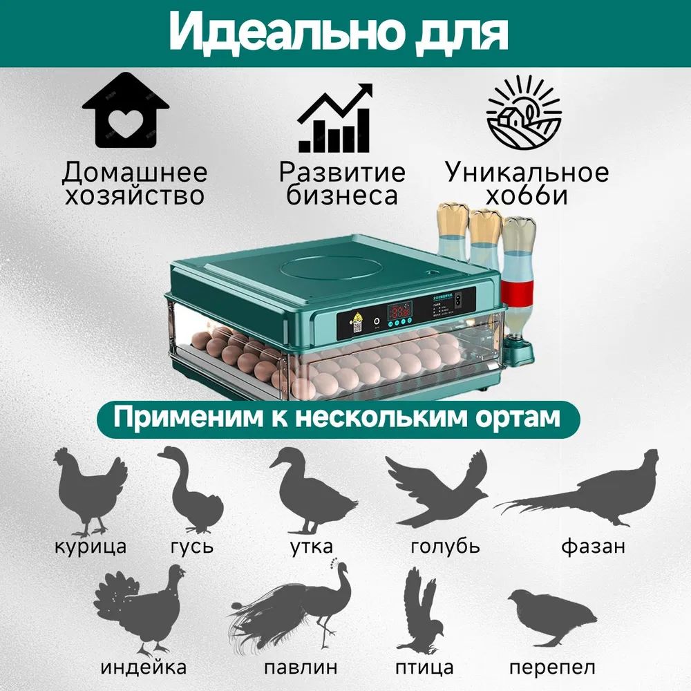 30 инкубатор для яиц автоматический220B/12B Учебное пособие по русскому языку