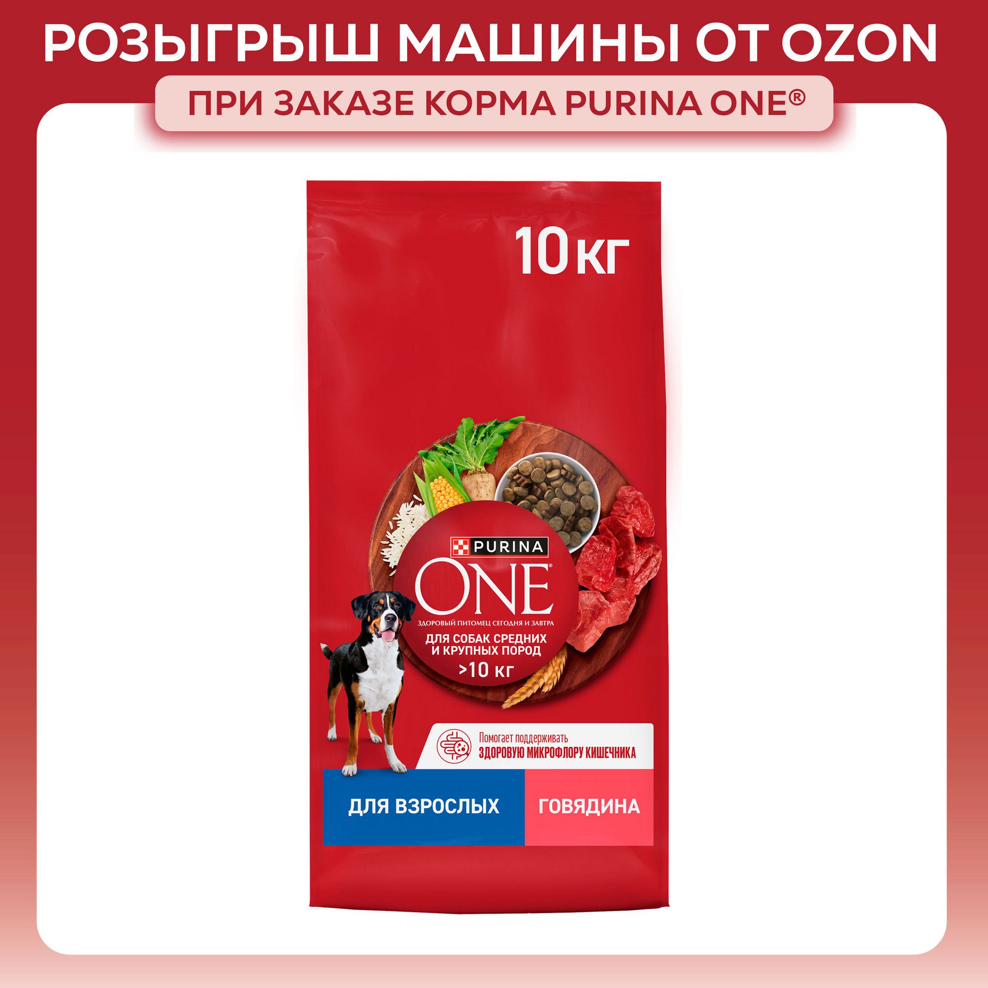 Сухой корм для собак Purina ONE для средних и крупных пород, с говядиной и рисом, 10 кг