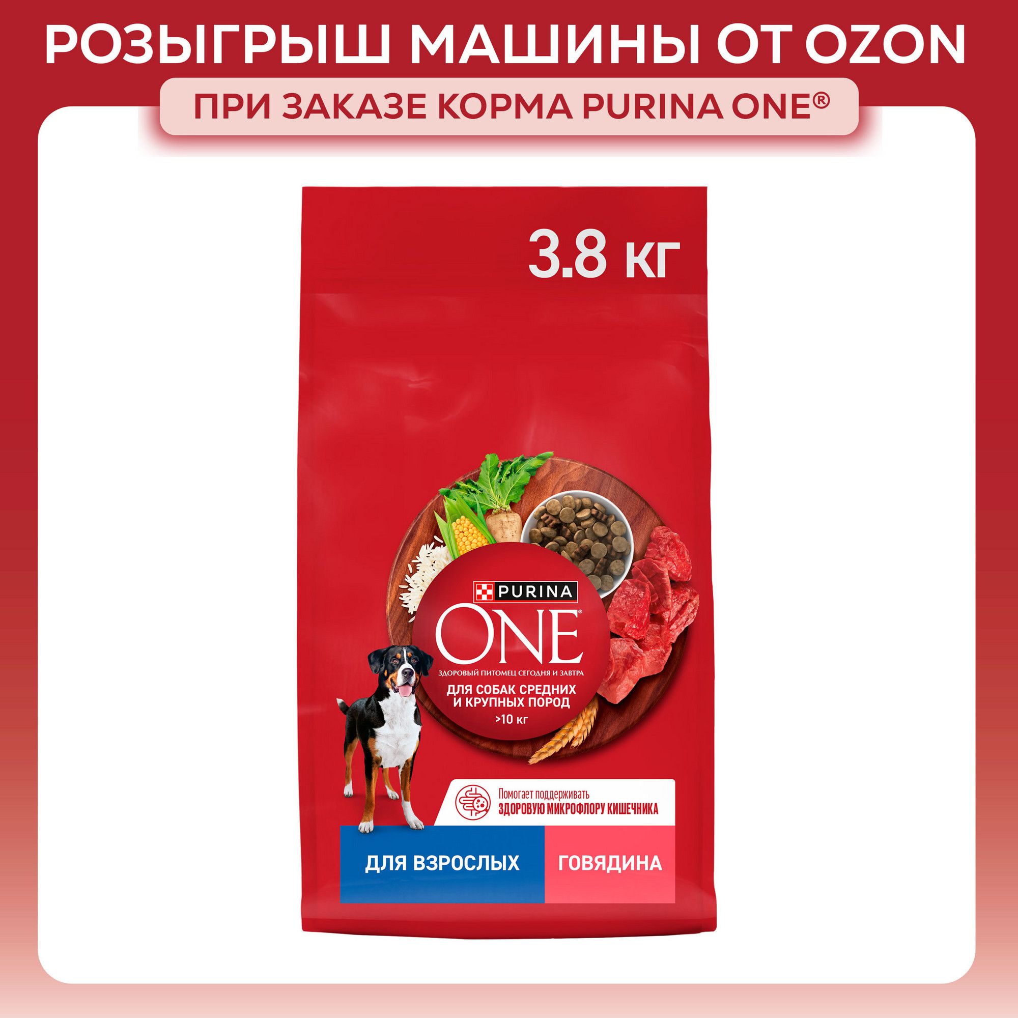 Сухой корм для собак Purina ONE для средних и крупных пород, с говядиной и рисом, 3,8 кг