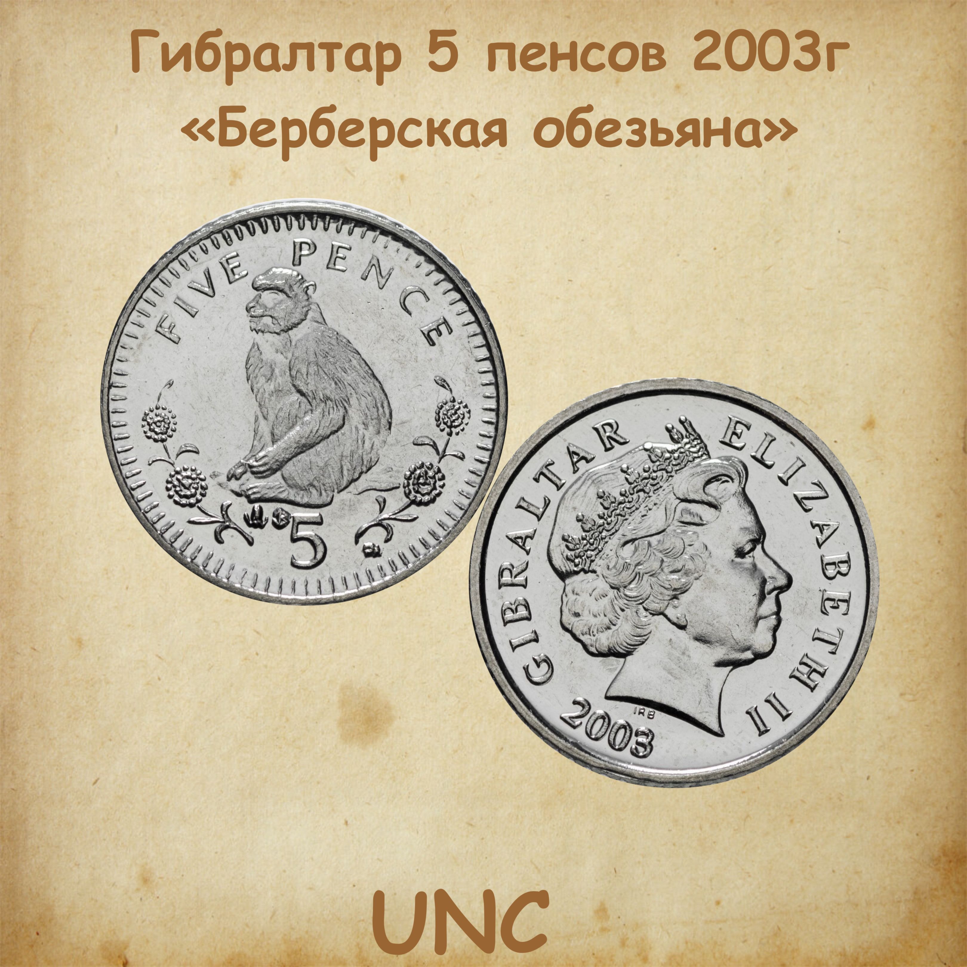 Монета Гибралтар 5 пенсов 2003г., Берберская обезьяна , UNC