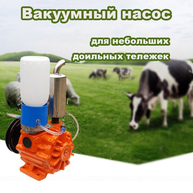 Насос вакуумный INVIKA-ZKB-001 пластинчато роторный, для вакуумных установок и доильного аппарата