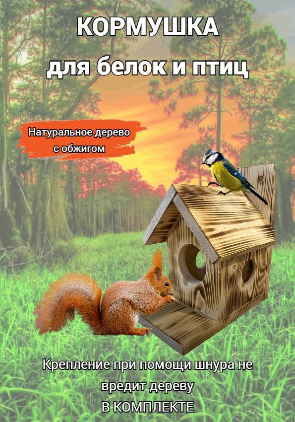 Кормушка для птиц и белок