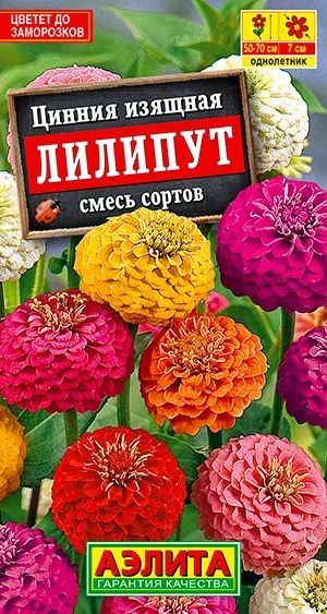 Семена Цинния Лилипут, смесь сортов