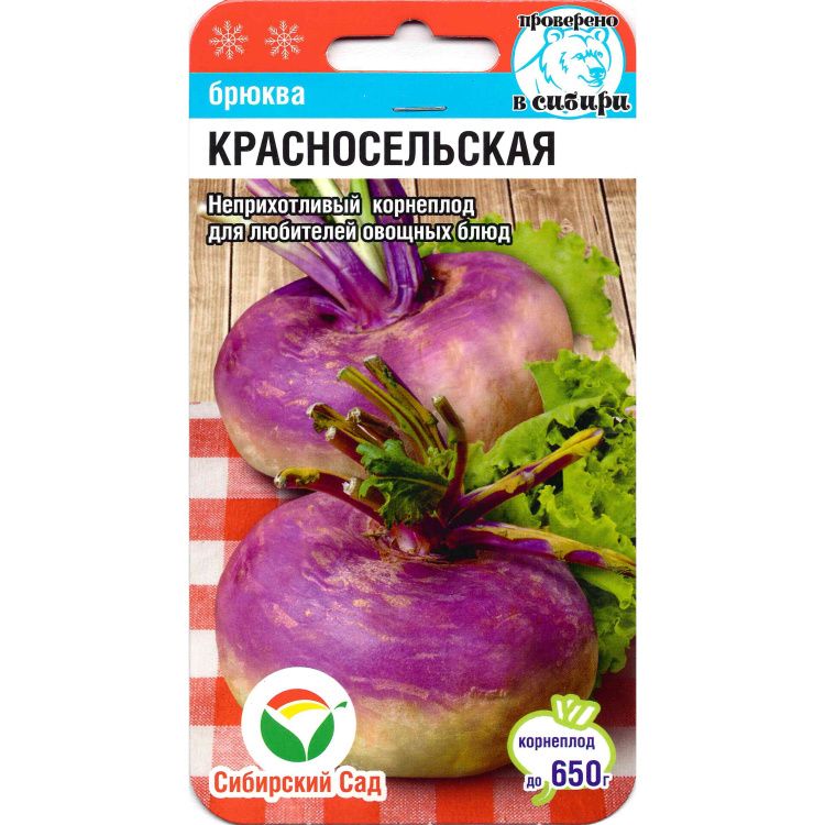 Брюква Красносельская(图1)