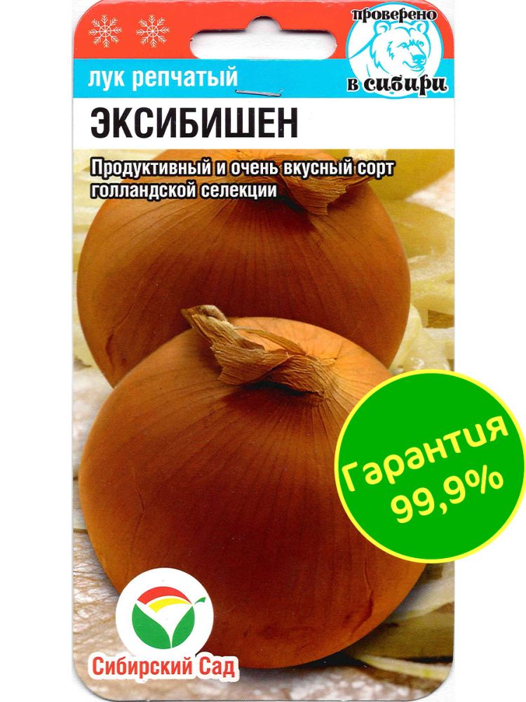 Лук Эксибишен(图3)