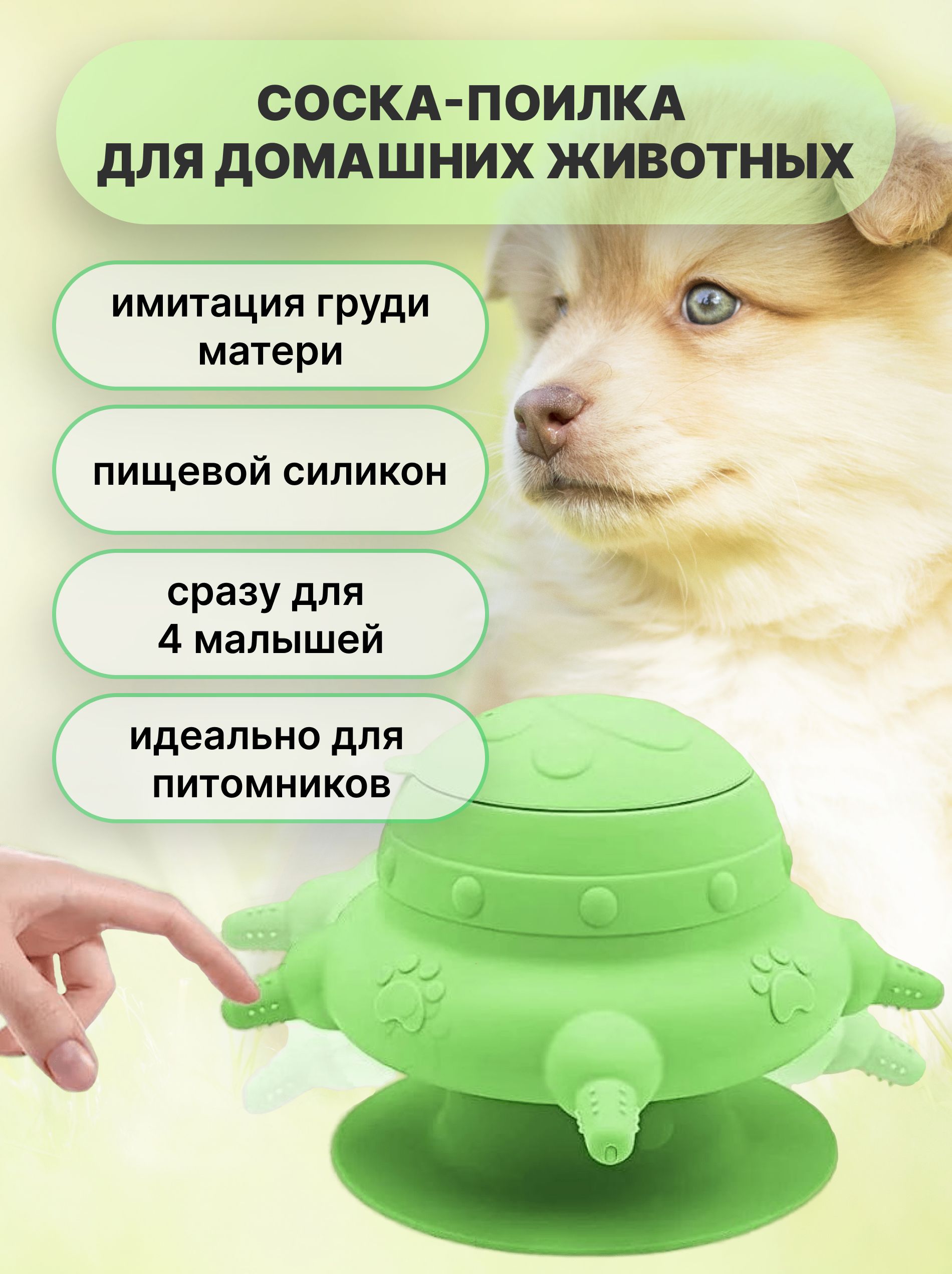 сосок вблизи 