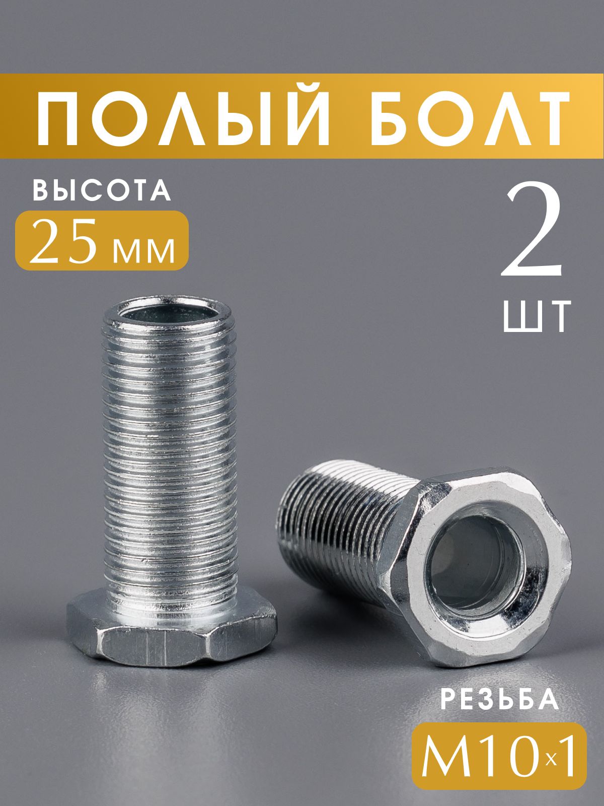 Полыйболт,трубкасрезьбойМ10х1,25мм.,набор2шт.