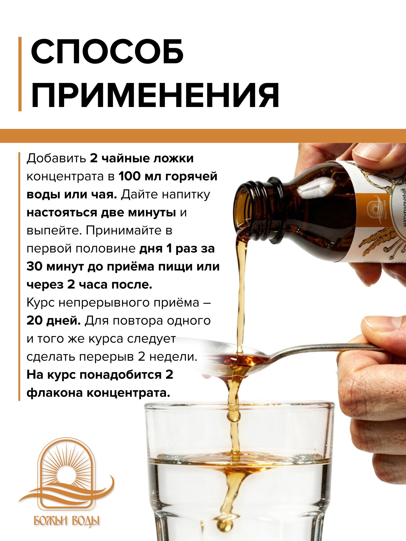 Концентрат кордицепса