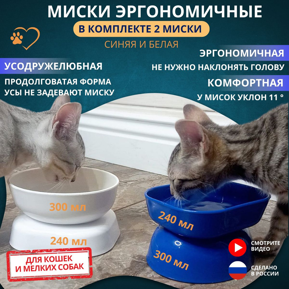 Миски для кошек, 2 штуки в комплекте - купить с доставкой по выгодным ...