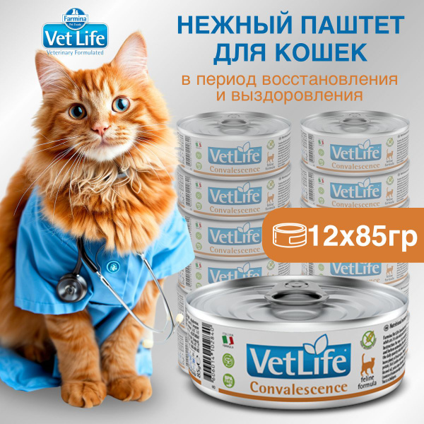 Влажный корм Farmina Vet Life Convalescence для кошек всех пород в ...