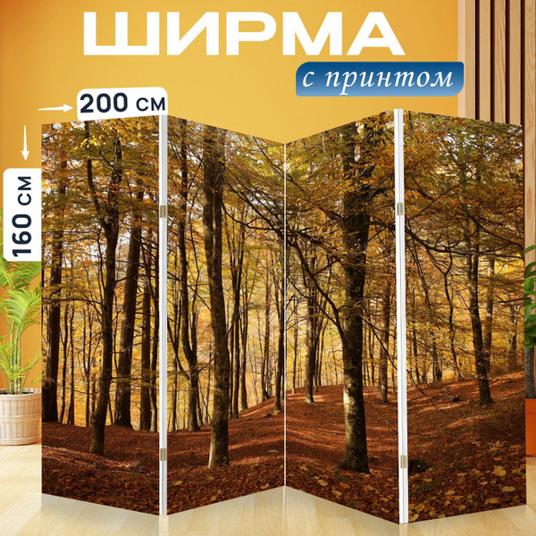 Ширма LotsPrints материал - Холст - купить по доступным ценам в ...
