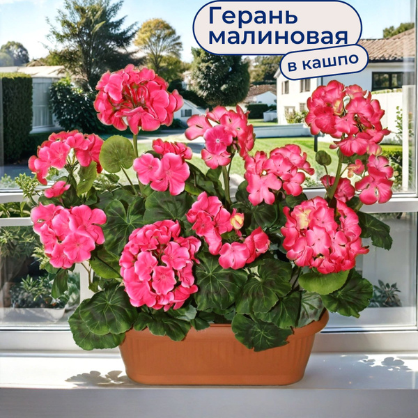 Купить Искусственные цветы Герань малиновая в балконном ящике, ФитоПарк ...