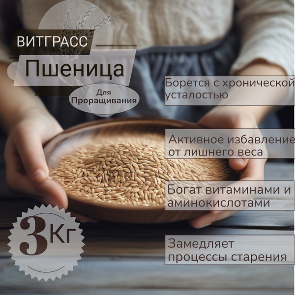 Пшеница для проращивания, витграсс, ростки пшеницы, микрозелень, 3 кг ...