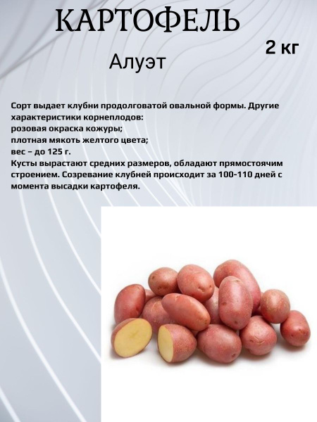 Клубни купить по выгодной цене в интернет-магазине OZON (1421796673)