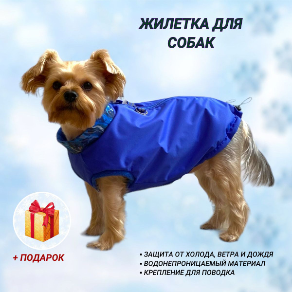Жилетка для собак - купить с доставкой по выгодным ценам в интернет ...