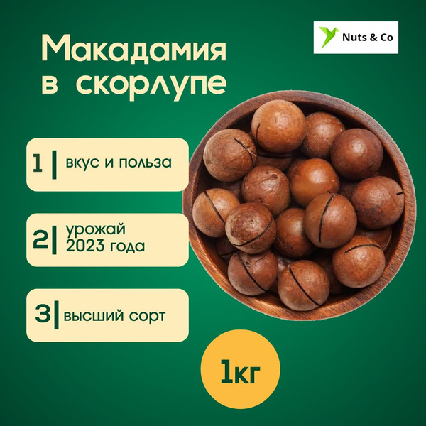 Макадамия в скорлупе, 1 кг - купить с доставкой по выгодным ценам в ...