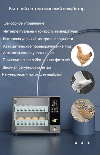 Инкубатор для яиц автоматический, 24 яиц - купить с доставкой по ...