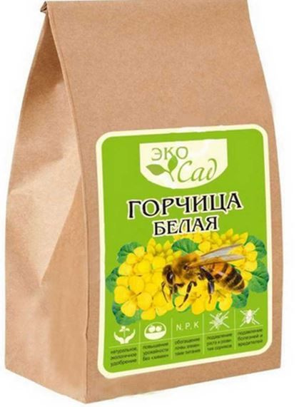 Сидераты семена алтая