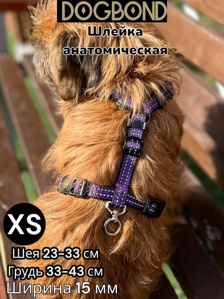 Шлейка Dogbond анатомическая из стропы для собак малых пород и кошек ...