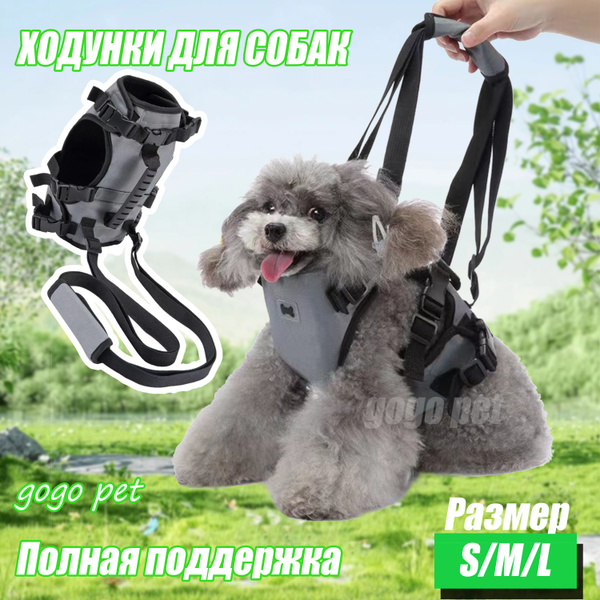 Полная поддержка для собак мелких пород (2-4кг). Ходунки для собак ...