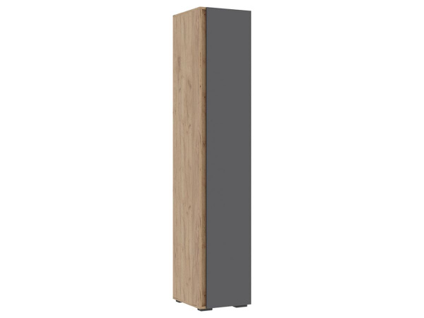 Шкаф распашной МФ Стендмебель Ирэн 51073, 40x46x210 см - купить по ...