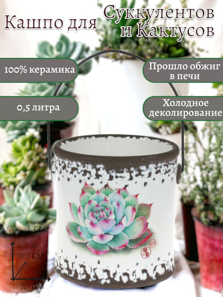Кашпо для Суккулентов и кактусов - купить с доставкой по выгодным ценам ...