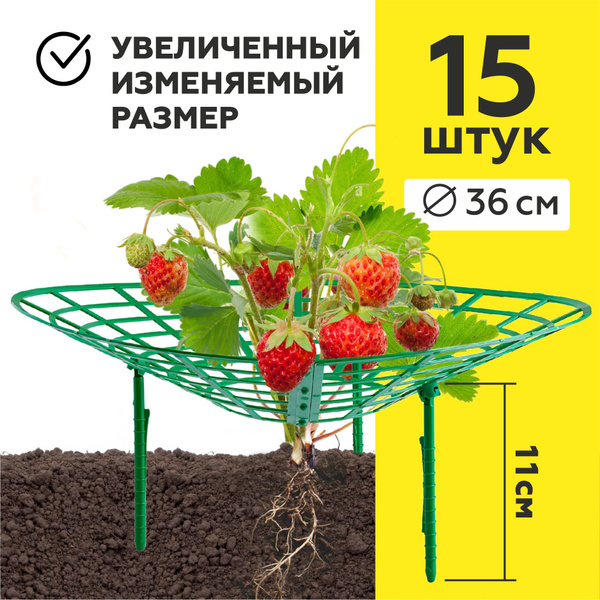 Подставка для клубники, 15 шт., опора для растений садовых ...