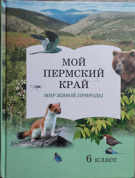 Картинки интеллектуальная игра мой пермский край с ответами. Краеведение мой пермский край. Мой пермский край 8 класс. Мой пермский край 8 класс. Мой любимый пермский край.