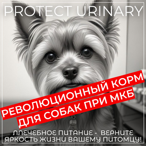 Корм сухой лечебно-профилактический для собак при МКБ Protect Urinary ...