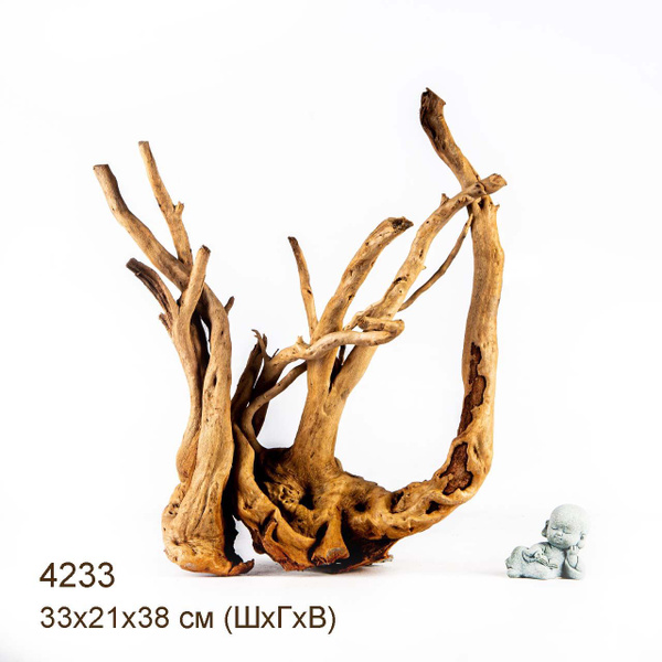 Коряга для аквариума натуральная. Корень Азалии - XL. Декорация MASHA ...