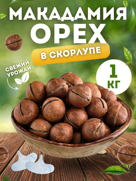 Макадамия в скорлупе 1 кг - купить с доставкой по выгодным ценам в ...
