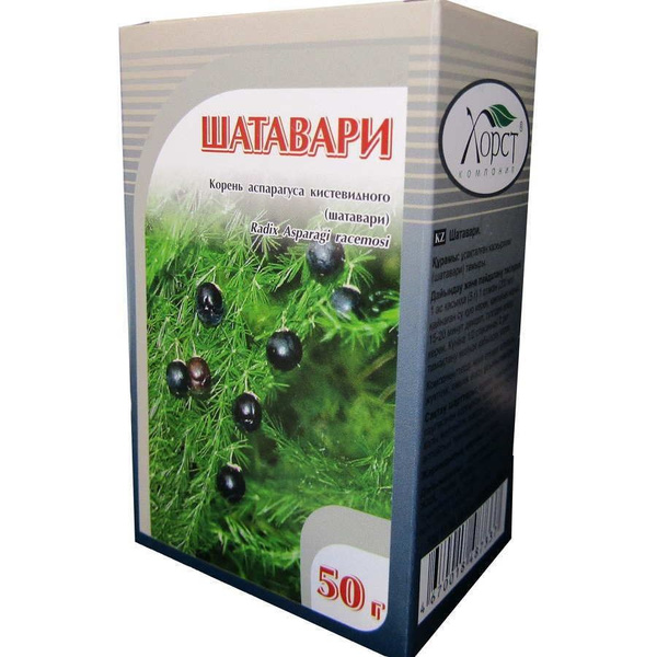 Шатавари корень 50 гр - купить с доставкой по выгодным ценам в интернет ...