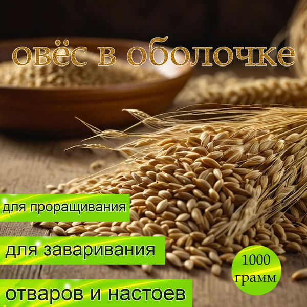 Овес для заваривания, отваров и настоя , для проращивания. Микрозелень ...