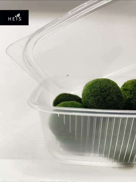 Японские водоросли / экосистемы HEIS / шарики Маримо (1-3 см. 10 ...