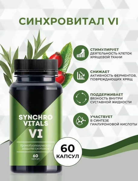 Хронобиологическая защита суставов Синхровитал VI, 60 капсул - купить с ...