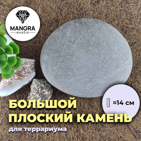 Большой плоский камень для террариума MANGRA exotic (ок. 14 см) - декор ...