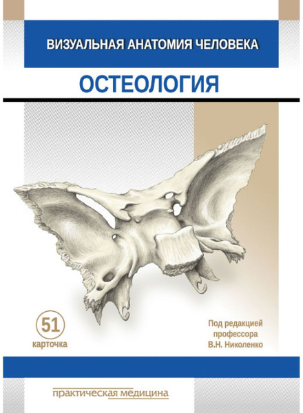 Анатомия человека Остеология карточки. 51 карточка. Визуальная анатомия ...