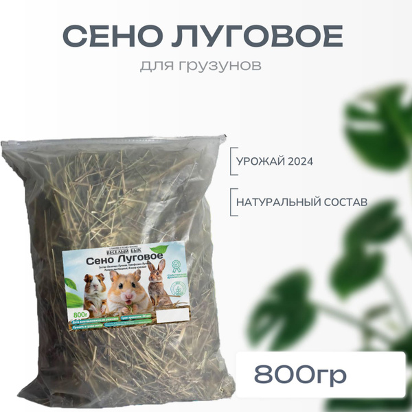 Сено луговое отборное,подстилка ,наполнитель для кроликов,хомяков ...
