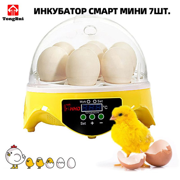 Автоматический инкубатор для яиц, 7 шт.ИНКУБАТОР СМАРТ МИНИ купить на ...