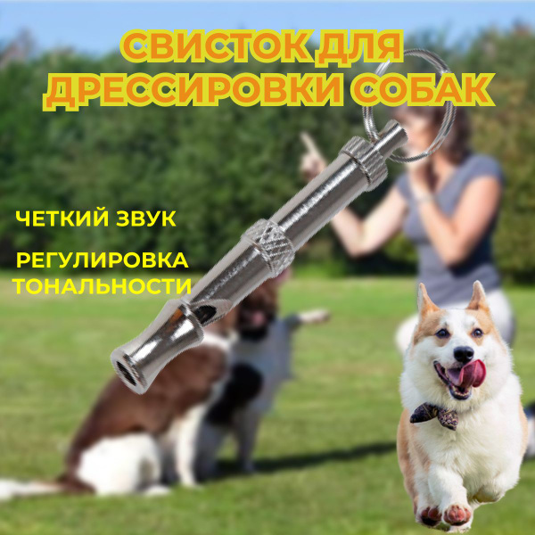 Свисток для дрессировки собак купить на OZON по низкой цене (1724988915)