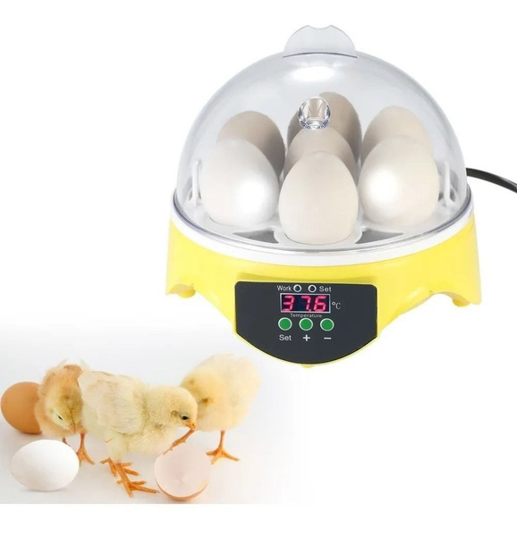 Яйцо инкубатор умный маленький дом купить на OZON по низкой цене ...