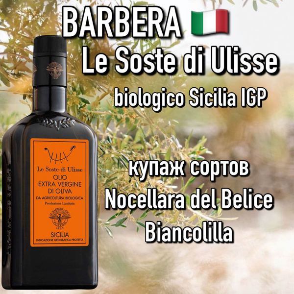 Итальянское оливковое масло Barbera Ulisse (Lorenzo) 500мл премиум ...