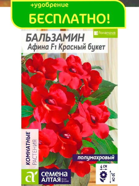 Бальзамины комнатные Семена Алтая Афина Красный букет - купить по ...