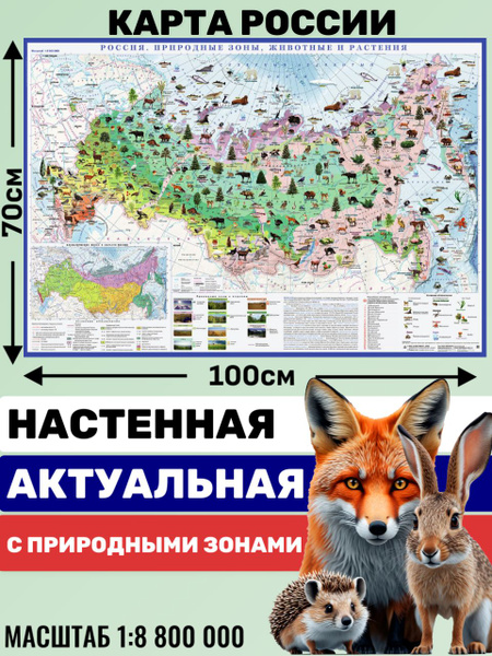 Карта России 100х70 см, физическая карта с природными зонами, животными ...