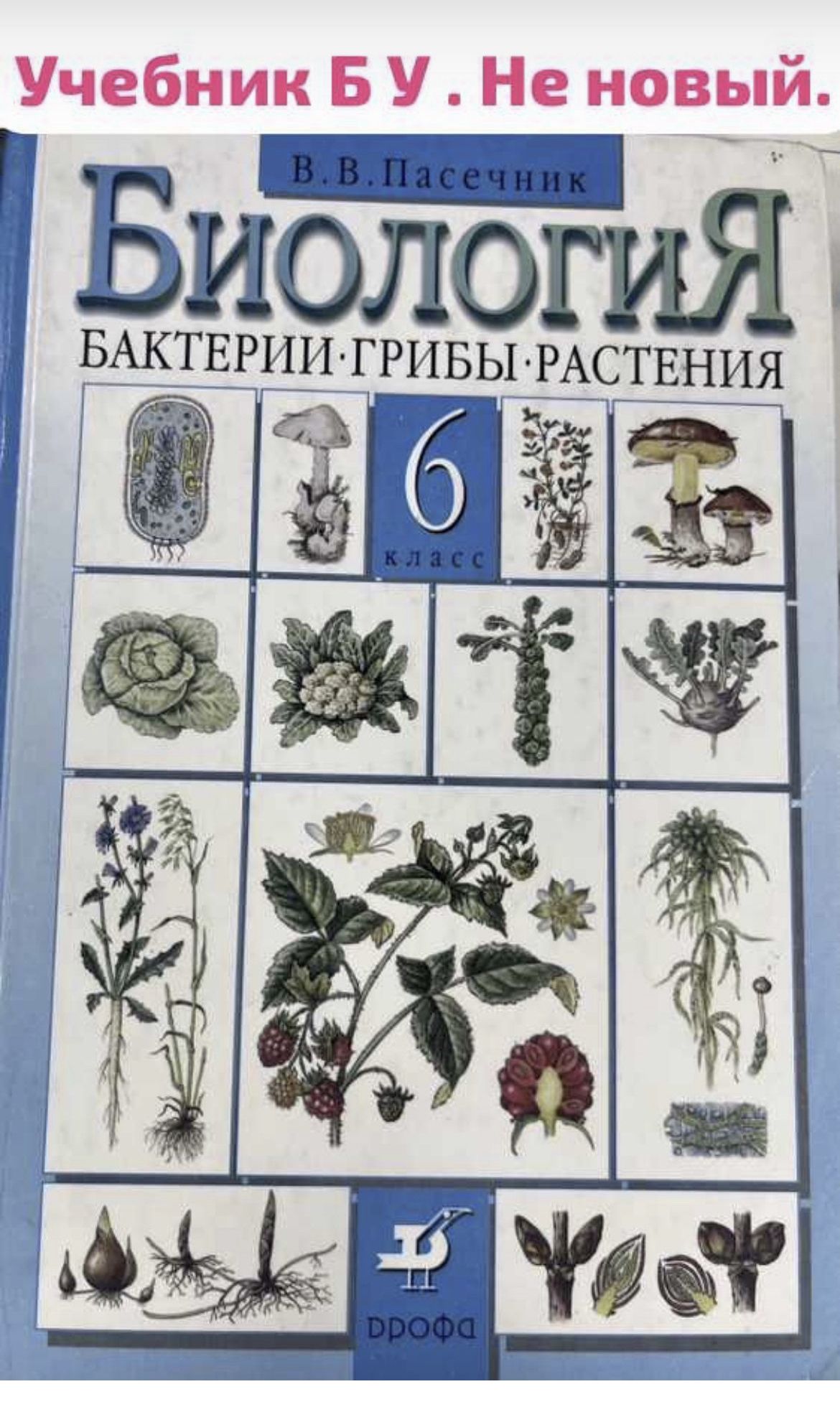 Биология 6 класс Пасечник Б У УЧЕБНИК (second hand книга) Бактерии. Грибы.  Растения. Дрофа