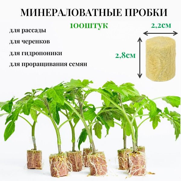 Минераловатные пробки 100шт 22*28мм из агроваты для выращивания рассады, укоренения черенков, проращивания семян , гидропоники.